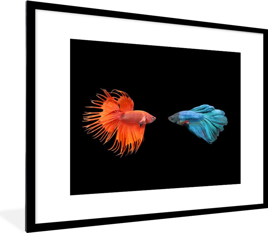 MuchoWow Gerahmtes Poster Fische - Wilde Tiere - Schwarz 80x60 cm - Poster mit Schwarzem Bilderrahmen Wandposter Rahmen Foto Bilder - Schlafzimme...