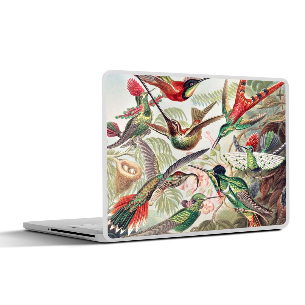 MuchoWow Laptop Aufkleber Sticker Cover Kolibri - Vintage - Ernst Haeckel - Vogel - Kunst - Natur 25x18 cm - Laptop-Deko