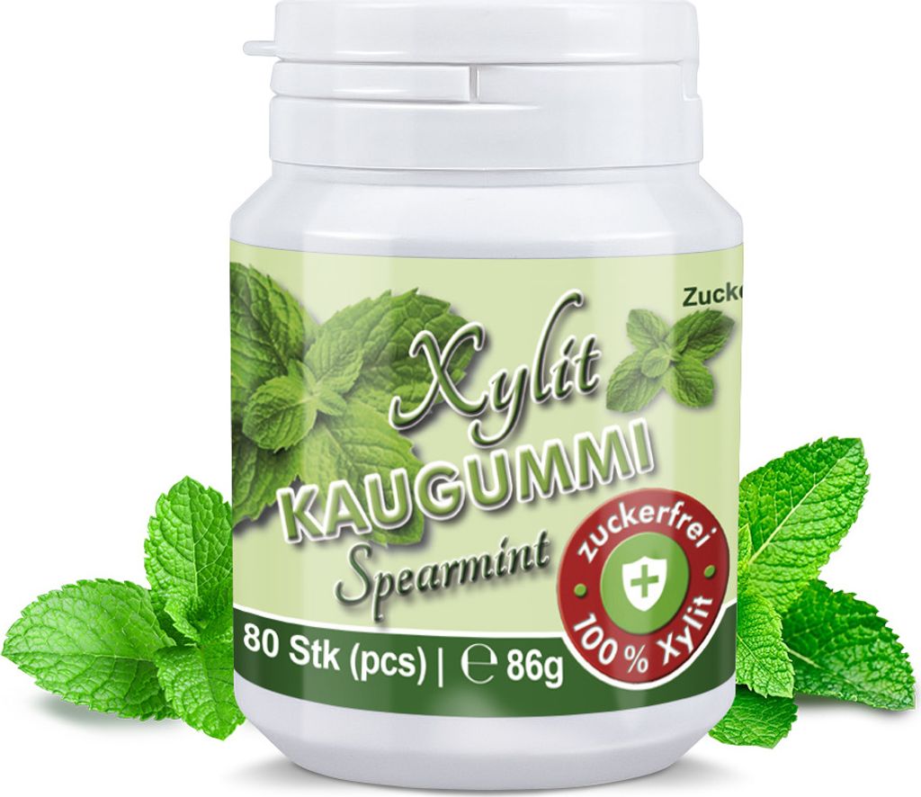 Xylitquelle Zahnpflegekaugummi SPEARMINT | 80 Stk | 100% Xylit für angenehmen Atem | zuckerfrei, vegan, ohne Aspartam | 80 Kaugummis (1er Pack)