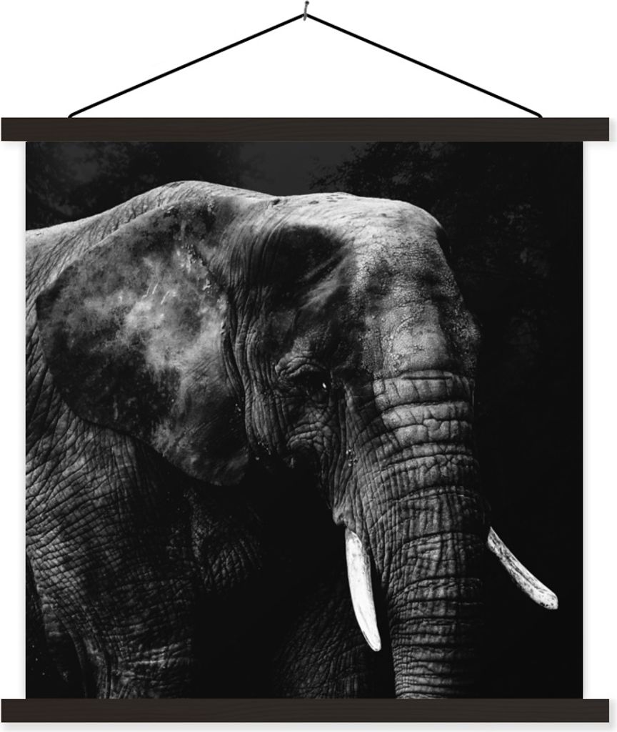 MuchoWow Textilposter Elefant - Tiere - Schwarz - Weiß 60x60 cm mit schwarzem Rahmen - Posteraufhänger