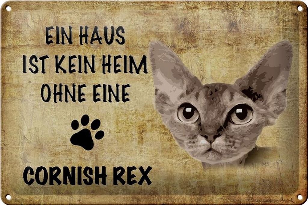 Blechschild Spruch 30x20cm Cornish Rex Katze ohne kein Heim