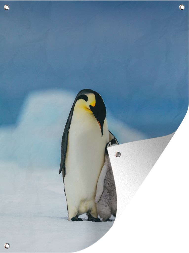 MuchoWow