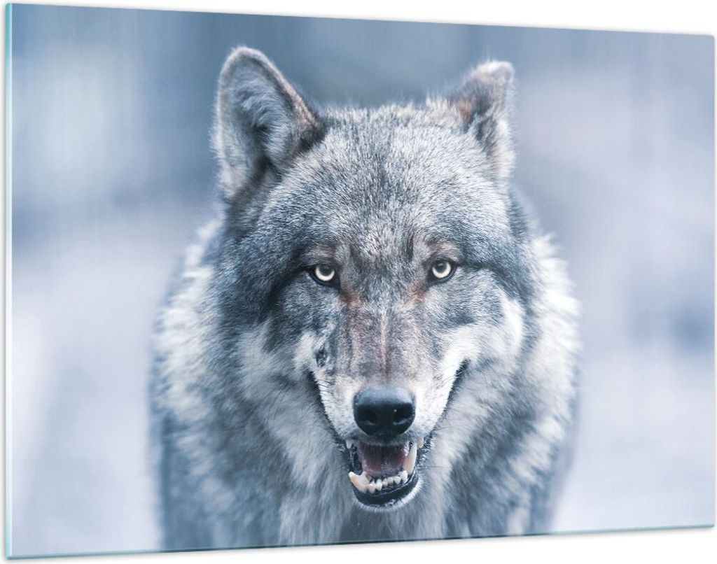 Bilder auf glas - Einteilig - Wolf Raubtier Wildheit - 120x80cm - Glasbilder - Wandbilder - Bilder - zum Aufhängen bereit - Wanddekoration aus Gla...