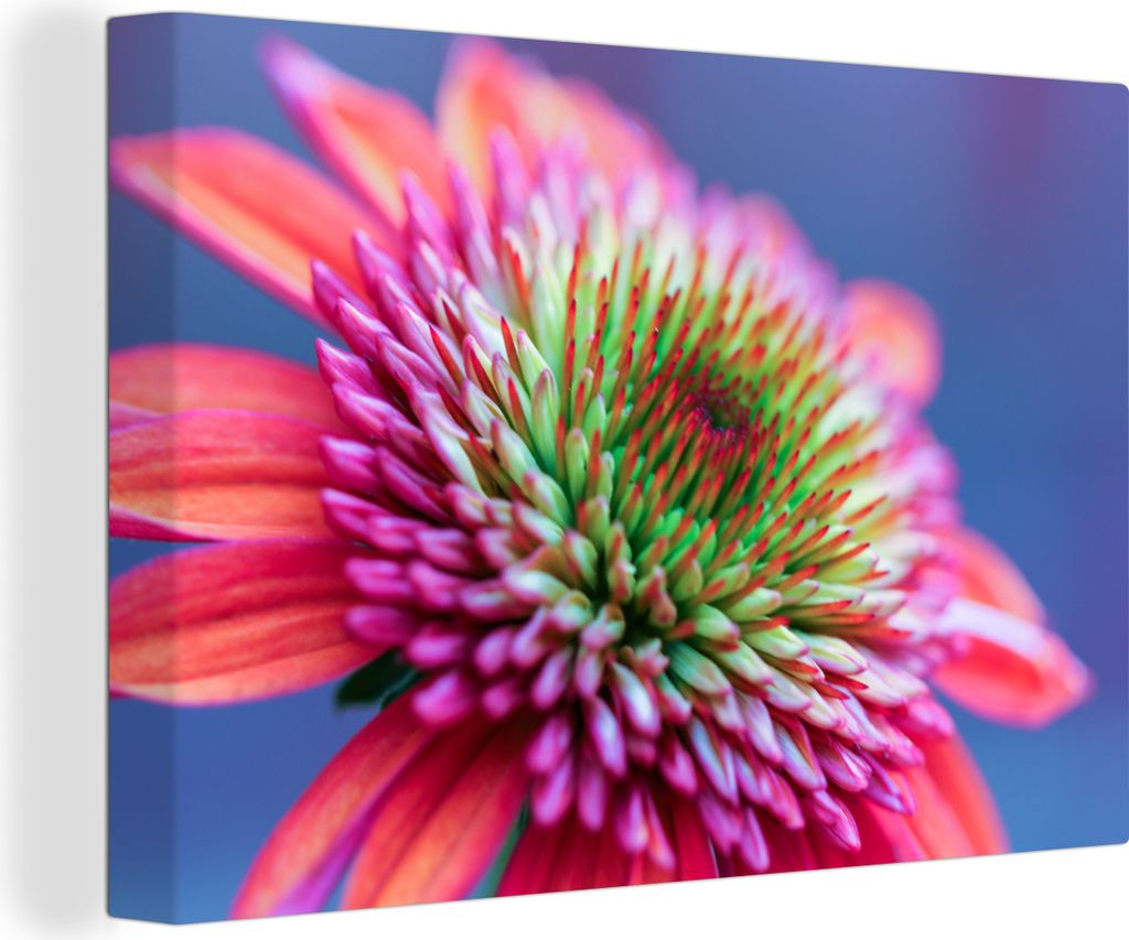 OneMillionCanvasses - Leinwandbilder - 140x90 cm, Blumen - Rosa - Hell, Wandbilder Kunstdruck Wanddekoration