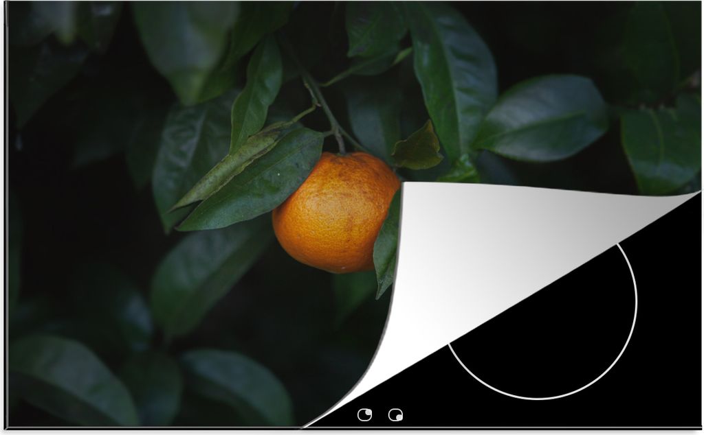 KitchenYeah Herdabdeckplatte Obst - Orange - Baum , 80x52cm, Küche Deko, Glaskeramikkochfeld Herdabdeckung, Abdeckplatte fùr Kochfeld
