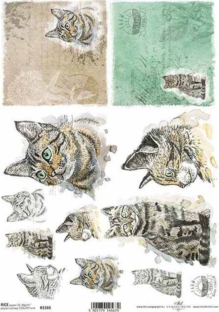 ITD Reispapier Decoupage Bastelpapier Serviettentechnik-R1565 - A4 Tiere, Katze, Katzen, Kätzchen, Kätzchen, Katzenköpfe, Schriftzug, Happy Farm...