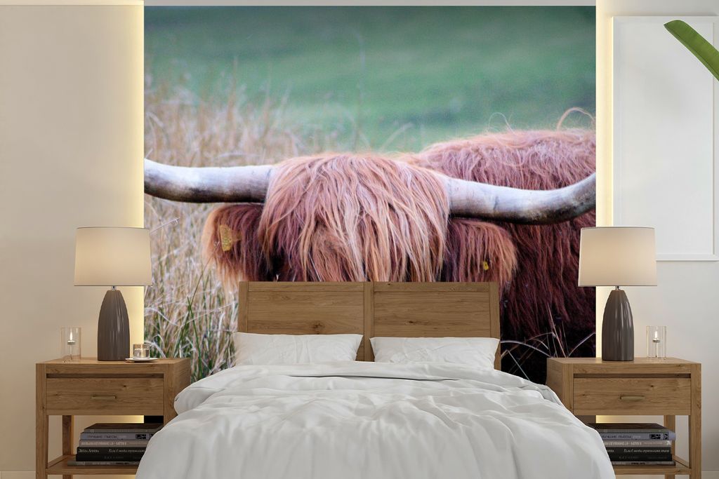 MuchoWow Fototapete für Wohnzimmer oder Schlafzimmer Wandtapete Vinyl Motivtapete Schottischer Highlander - Hörner - Gras - 220x220 cm - Tapeten
