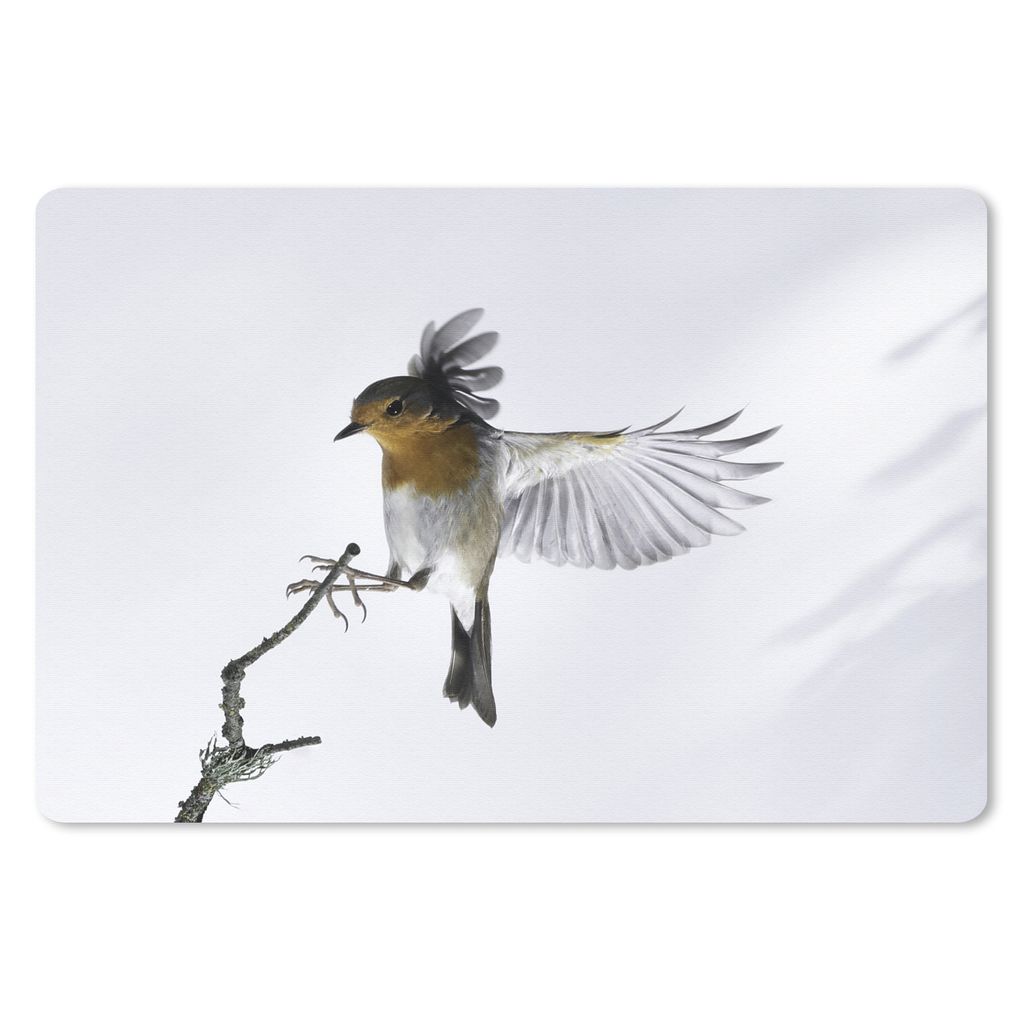 MuchoWow Schreibtischunterlage Nahaufnahme Vogel 60x40 cm - XXL Mauspad - Großes Mauspad