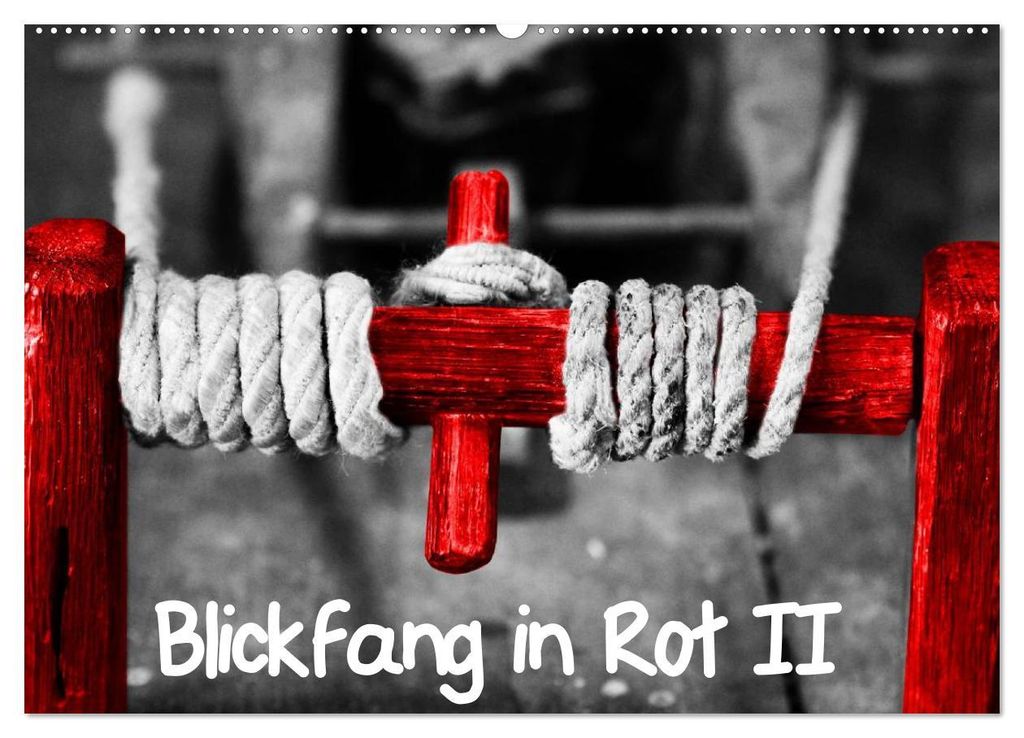 Blickfang in Rot (Wandkalender 2027 DIN A2 quer), CALVENDO Monatskalender