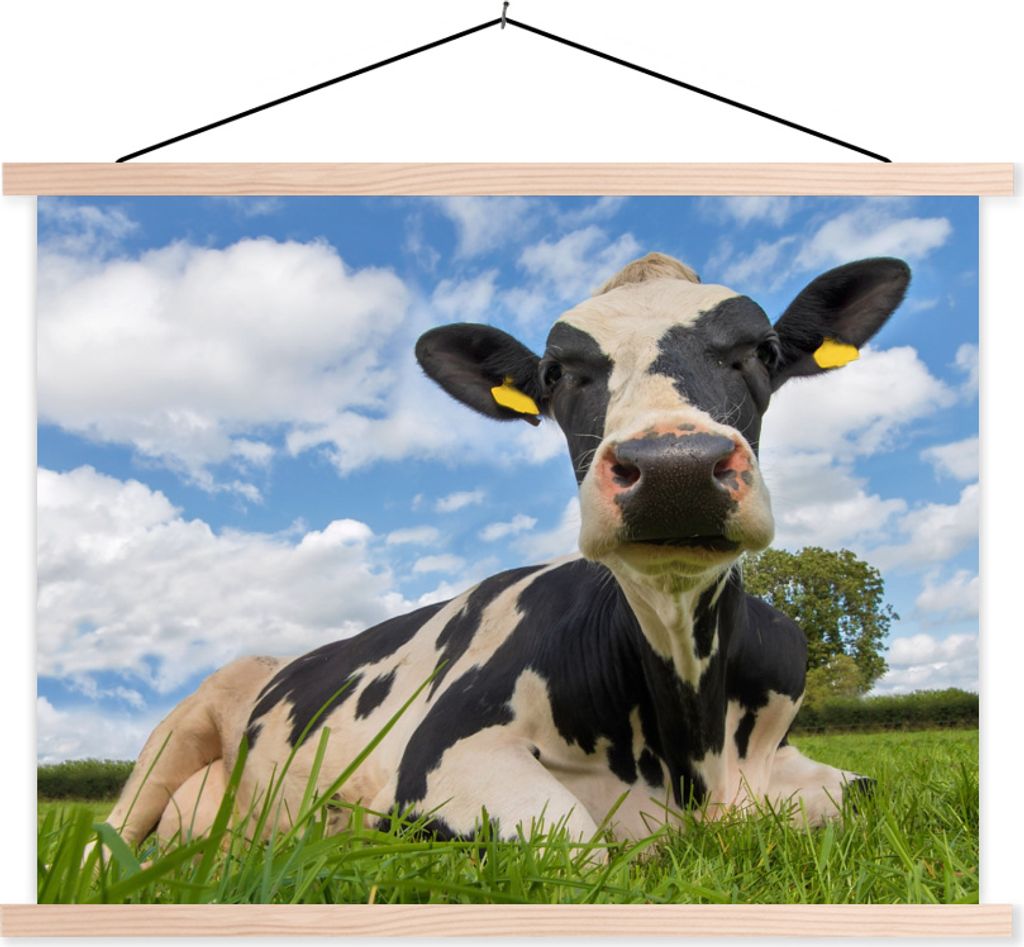 MuchoWow Textilposter Kuh - Gras - Himmel 120x90 cm mit holzfarbenen Rahmen - Magnetisch