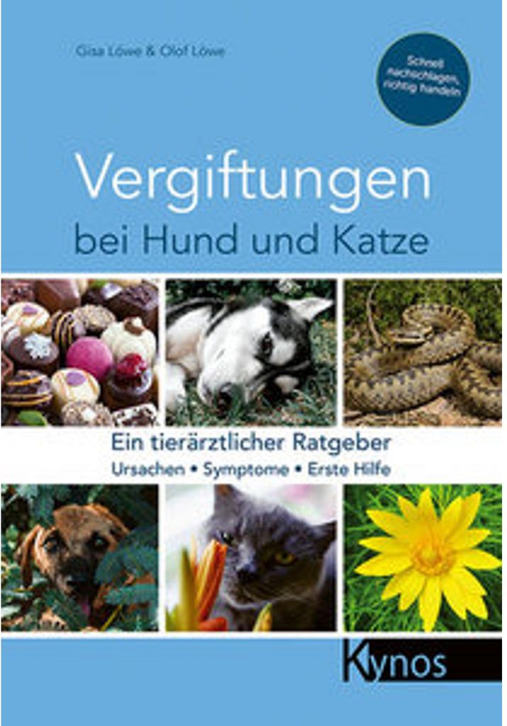 Vergiftungen bei Hund und Katze