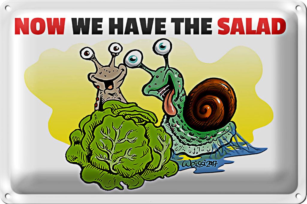 Blechschild Spruch 40x30cm Now we have the salad Schnecken