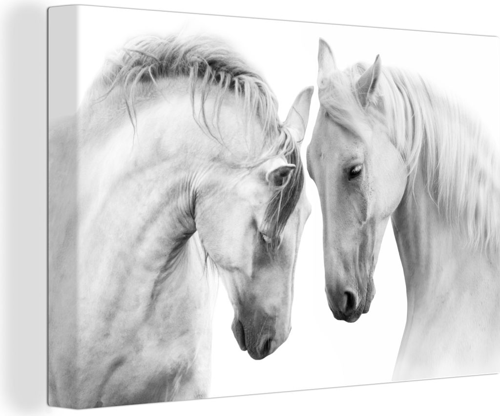 OneMillionCanvasses - Leinwandbilder - 150x100 cm, Pferd - Tiere - Porträt - Weiß, Wandbilder Kunstdruck Wanddekoration - Foto auf Leinwand - G...