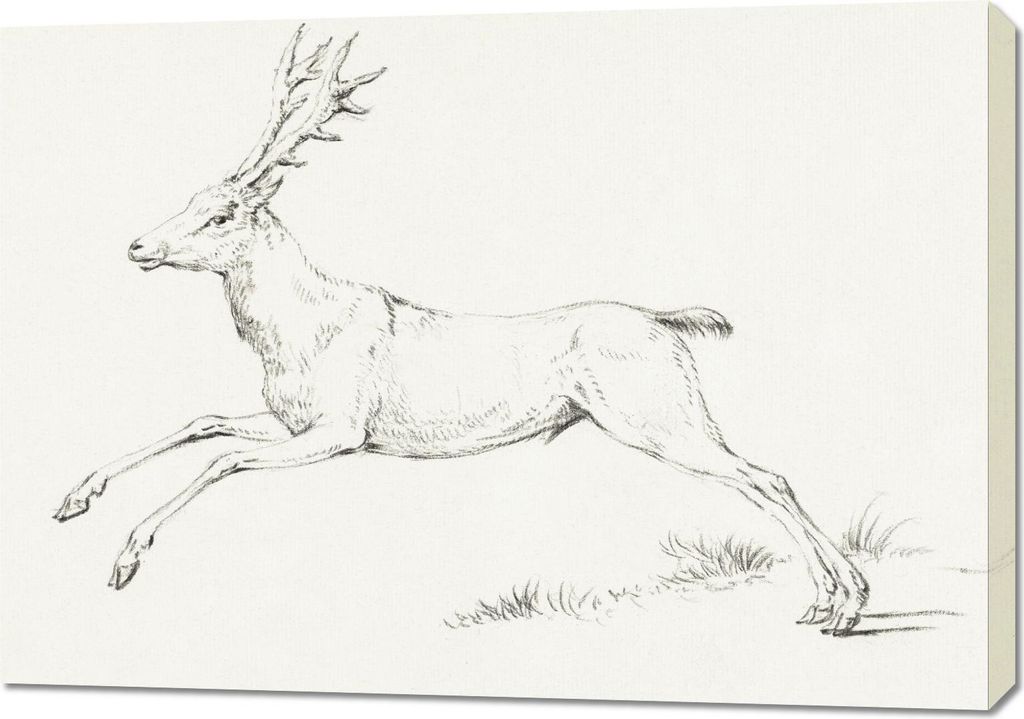 Bild 100x70cm Springender Hirsch, Jean Bernard Vintage für das Wohnzimmer