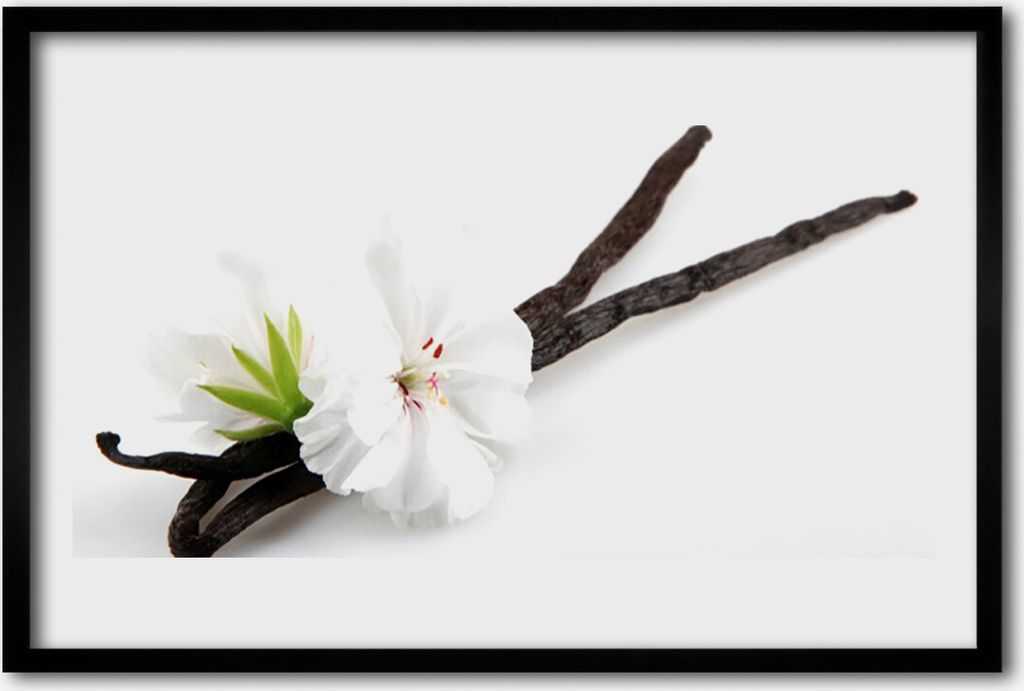 Bild 60x40 MDF-Rahmen Wandkunst Natur Blume Pflanze