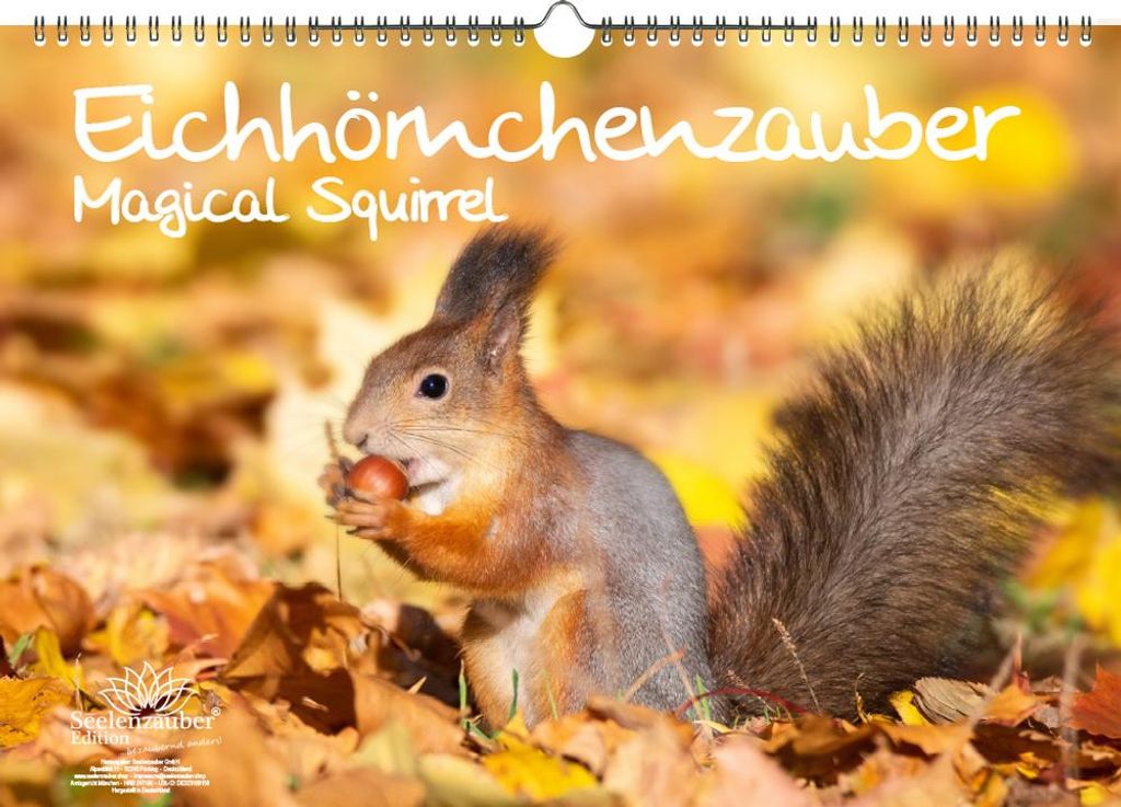 Eichhörnchenzauber Immerwährender Kalender DIN A3 Eichhörnchen - Seelenzauber