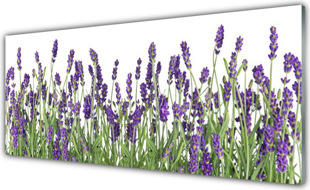 Acrylglasbilder 125x50 Wandbild Druck Blumen Pflanzen