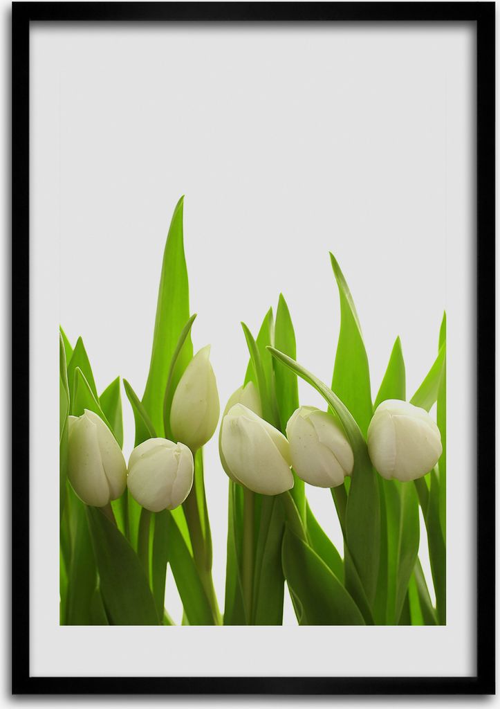 Bild - Bilderrahmen - 50 cm x 70 cm - MDF - Rahmen - Wandkunst Weiße Tulpen
