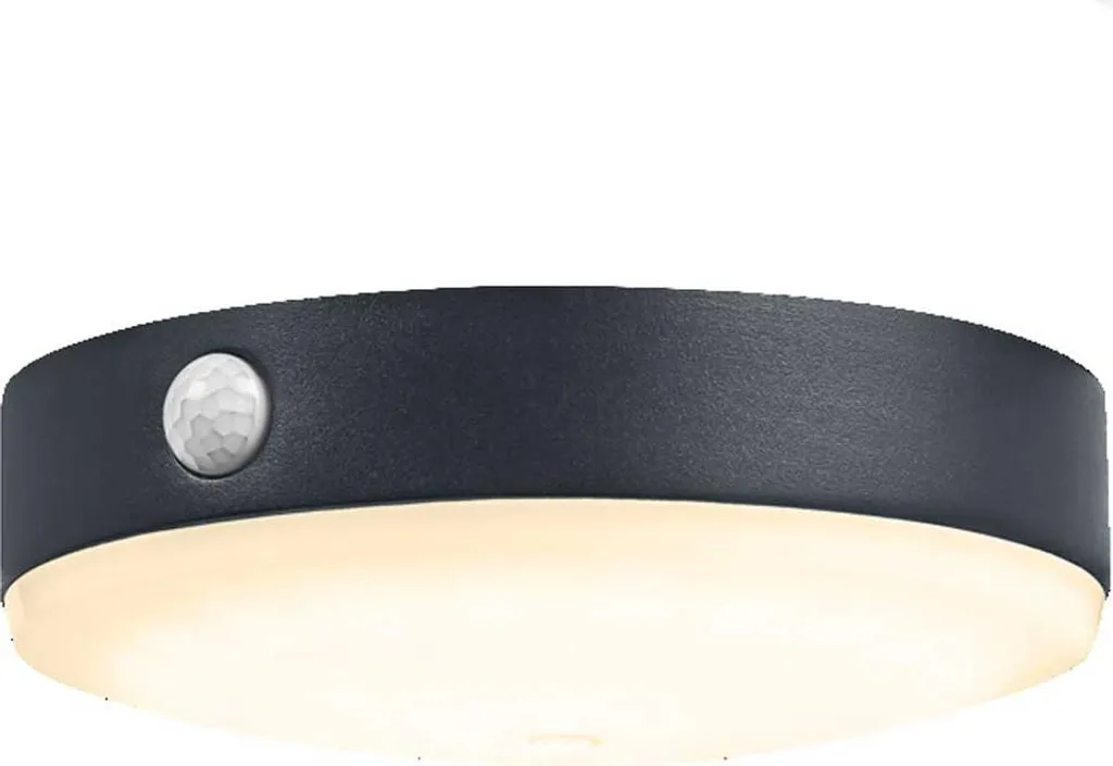 Lampe Solaire Murale Noire : Solution Éclairage Sans Branchement IP44