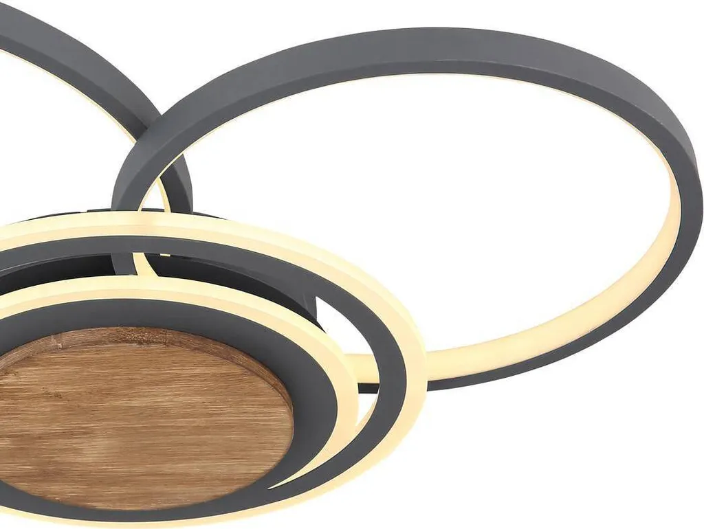 Globo Plafonnier Métal Graphite 1xLED - Luminaire Design Moderne