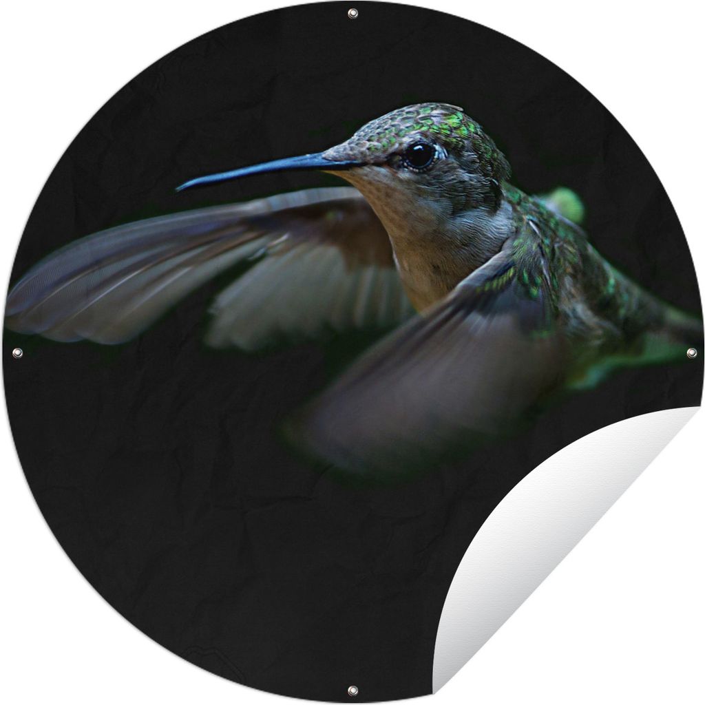 MuchoWow Gartenposter Outdoor-Poster Rund Kolibri - Federn - Schwarz Ø 150 cm Gartendeko Rundes Poster draußen