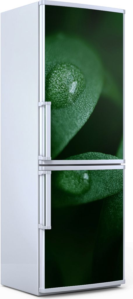 Magnete Dekorative - 70 cm x 190 cm - Küche - Magnetmatte Kühlschrankmagnete - Mikrogrüne Blätter
