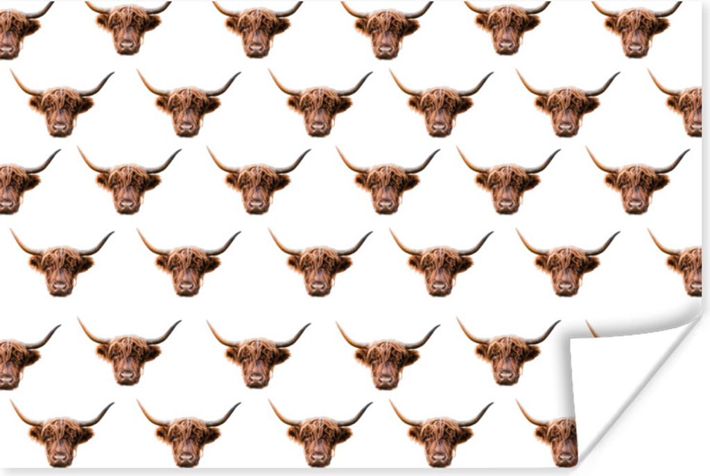 MuchoWow Poster Tiere - Vorlage - Schottischer Highlander 90x60 cm - Schlafzimmer