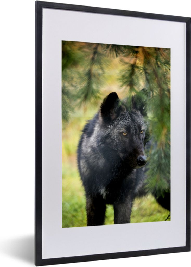MuchoWow MuchoWow Gerahmtes Poster Wolf - Makro - Blätter 40x60 cm - Poster mit zchwarzem Bilderrahmen - Poster in Rahmen