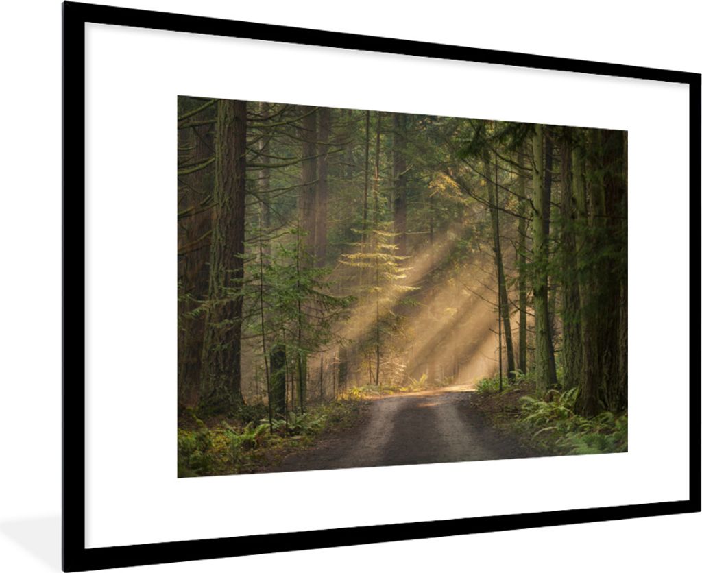 MuchoWow® MuchoWow® Gerahmtes Poster Wald - Baum - Weg Produktbild 