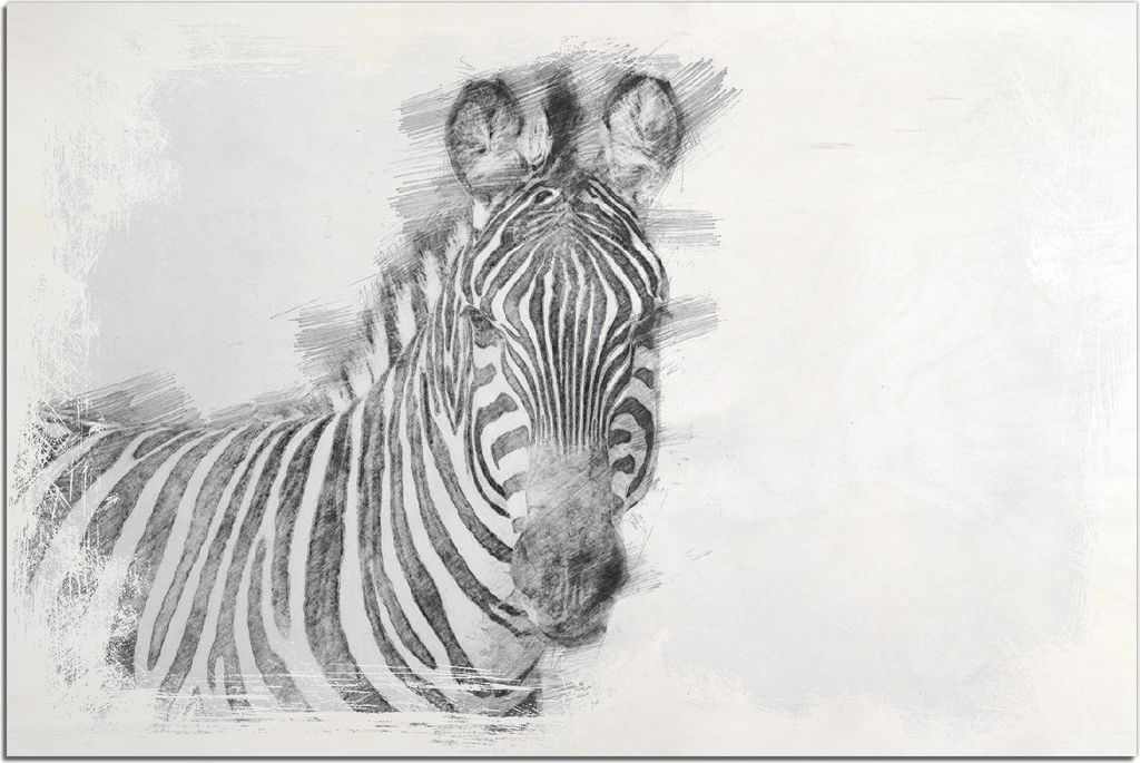 Kunstdrucke Wandbilder Holz in : Brillante Farben, Größe 60 x 90 cm Motiv Zebra in schwarz weiß - Bleistift Zeichnung