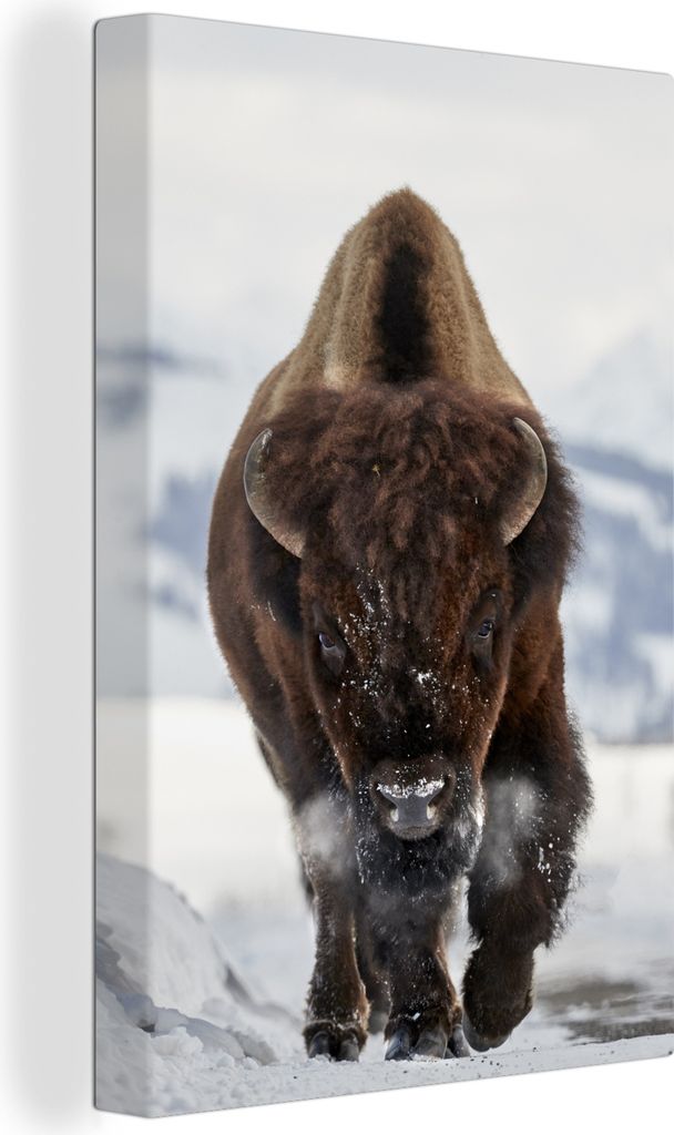 OneMillionCanvasses - Leinwandbilder - 90x140 cm, Laufender Bison, Wandbilder Kunstdruck Wanddekoration - Wandschmucke - Schlafzimmer