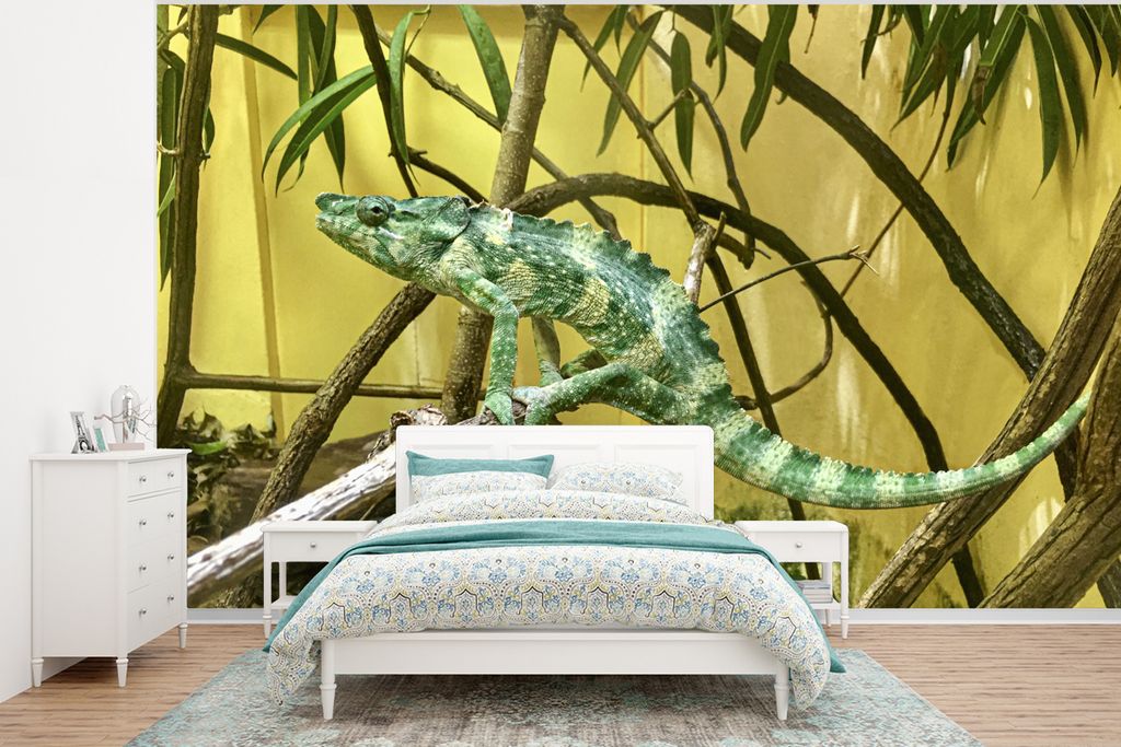 MuchoWow Fototapete für Wohnzimmer oder Schlafzimmer Wandtapete Vinyl Motivtapete Reptil - Zweig - Pflanze - 350x260 cm - Wohnzimmer-Tapete