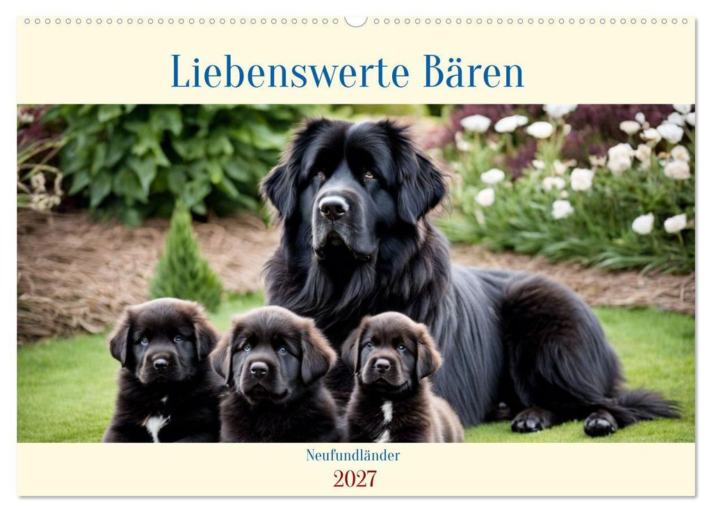 Neufundländer - Liebenswerte Bären (Wandkalender 2027 DIN A2 quer), CALVENDO Monatskalender