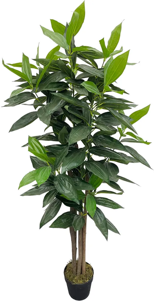 Plante Artificielle d'Intérieur Cassia Kori 145 cm Sans Entretien Vert
