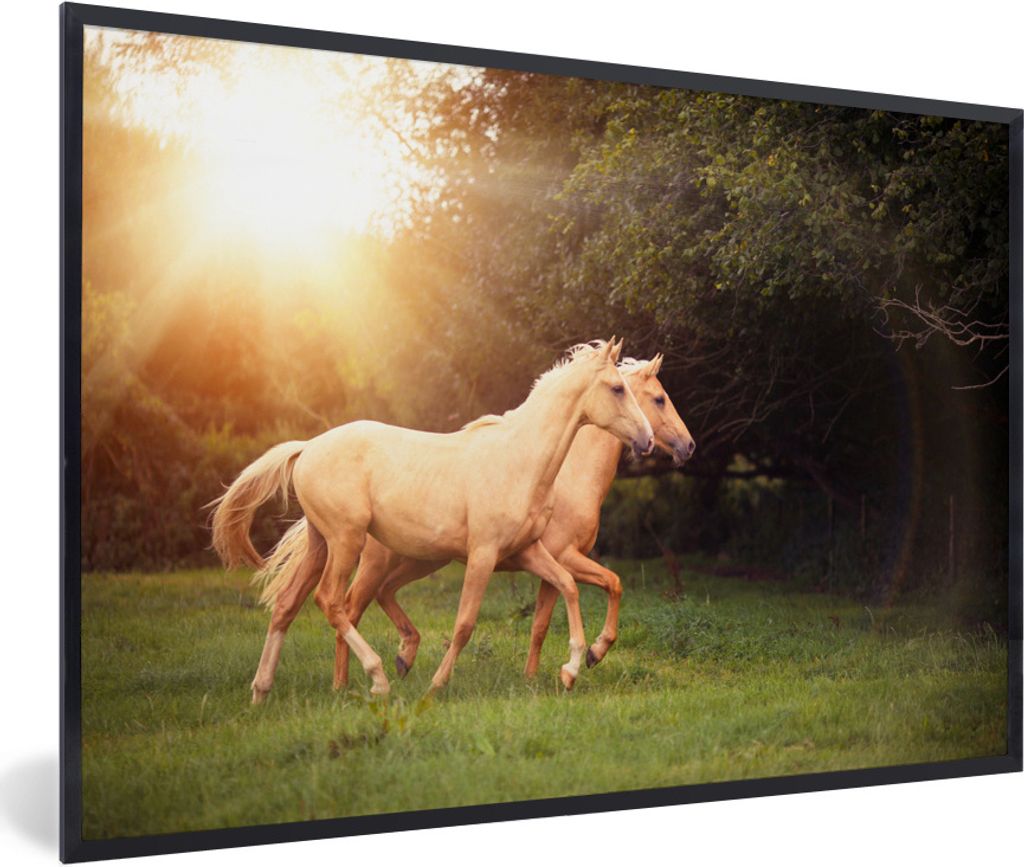MuchoWow Gerahmtes Poster Pferde - Wald - Sonne 90x60 cm - Poster mit Schwarzem Bilderrahmen Wandposter Rahmen Foto Bilder - Fotorahmen - Foto-Pl...