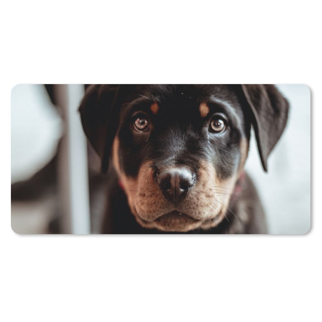 MuchoWow Schreibtischunterlage Jung - Hund - Kamera 80x40 cm - XXL Mauspad - Gaming Mauspad