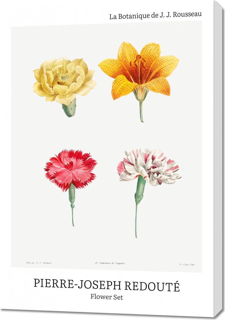 Bild 70x100cm Design Flower Set, Redoute Vintage für das Wohnzimmer