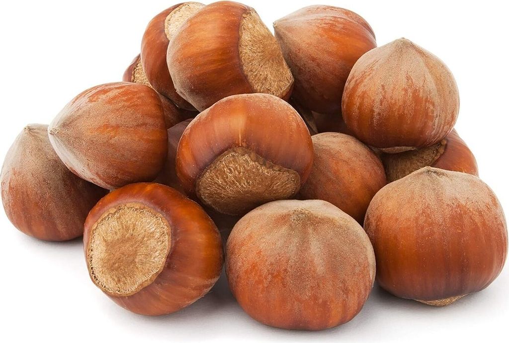 Haselnüsse in der Schale | 2 kg | PREMIUM | Frisch und Produktbild 