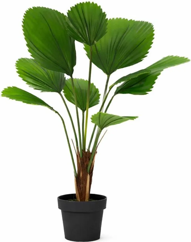 Palmier Licuala grandis artificiel 104 cm pour déco salon et bureau
