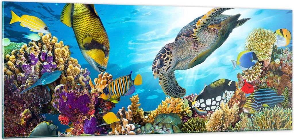 Bilder auf glas - Riff Koralle Fisch - 100x40cm - Glasbilder - Wandbilder - Kunstdruck - zum Aufhängen bereit - Wanddekoration aus Glas - Glas Bil...