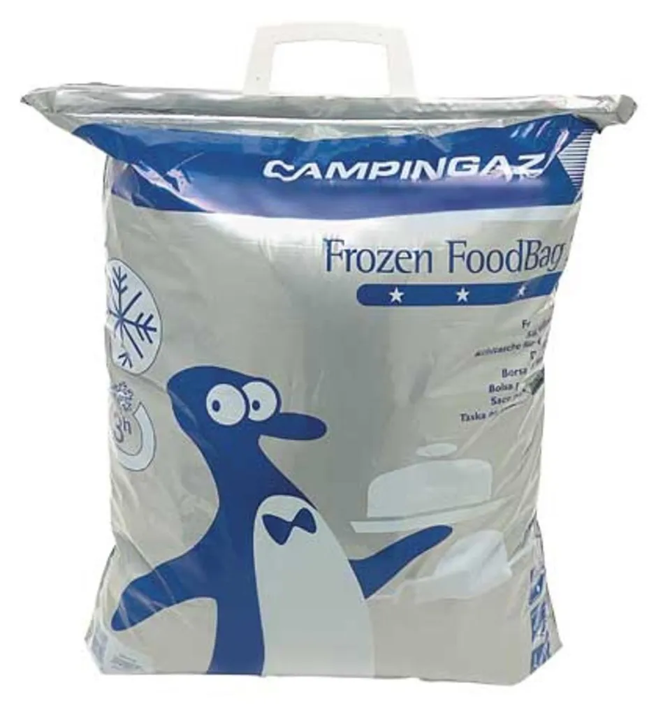 Borsa Frigo Professionale Campingaz 20L - Prezzo Borsa Surgelati L