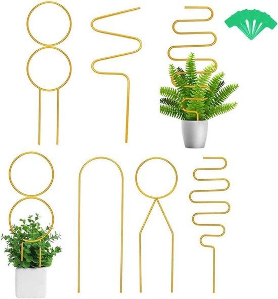 Klimhelfer für Zimmerpflanzen und Gartenpflanzen - Set aus 5 Stücken