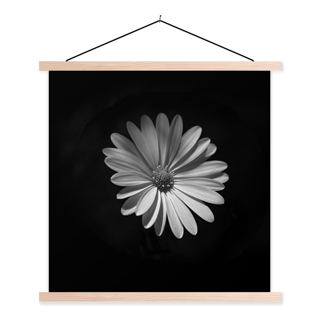 MuchoWow Textilposter Ein weißes Gänseblümchen auf schwarzem Hintergrund 40x40 cm mit holzfarbenen Rahmen - Posterleiste