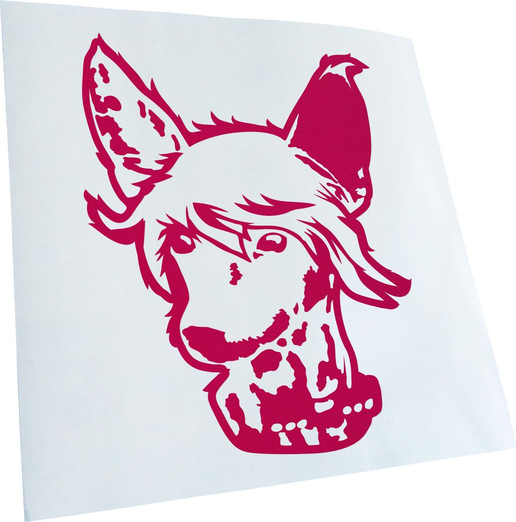 Kiwistar - Autoaufkleber - Chinese Crested Hund - Pink - 50x38cm - Aufkleber für Auto, Laptop, Fahrrad, LKW, Motorrad mehrfarbig JDM Decal Racing