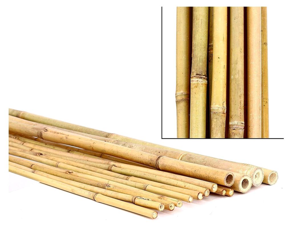 1 Stück Bambusrohre Tonkin naturbelassen Durchmesser 3,5-4cm Länge 300cm