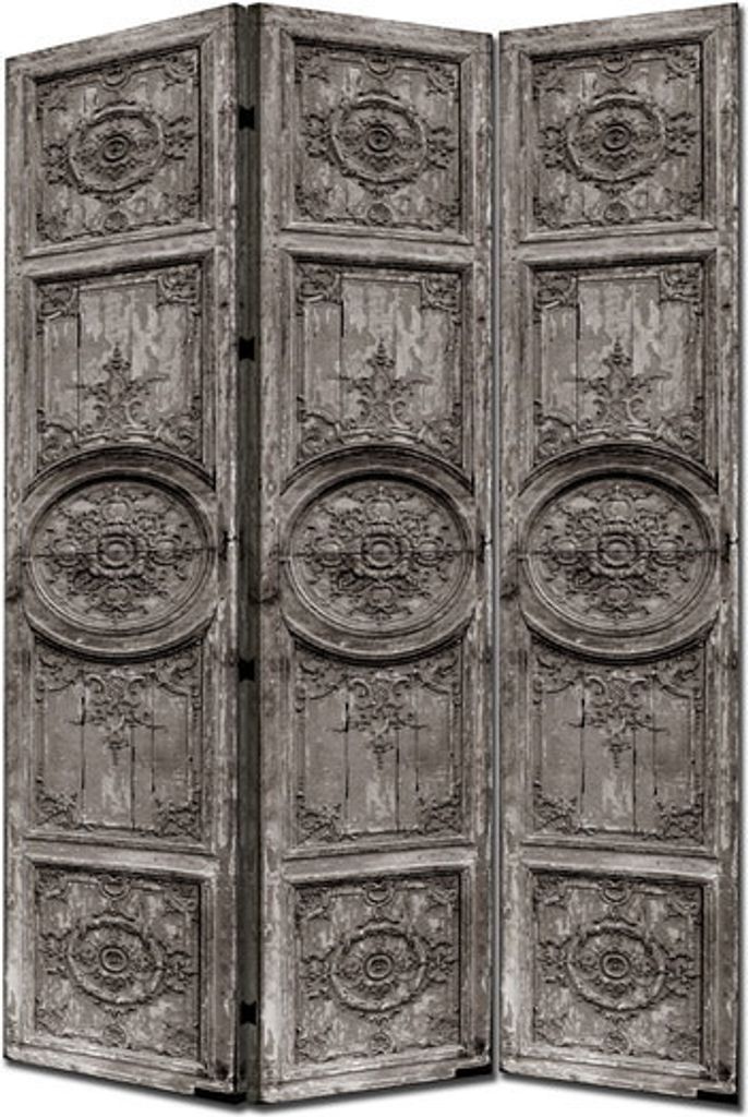 Fine Asianliving Paravent Raumteiler Spanische Wand Trennwand Room Divider Raumtrenner L120xH180cm Bedruckte Canvas Sichtschutz Leinwand Doppelseit...