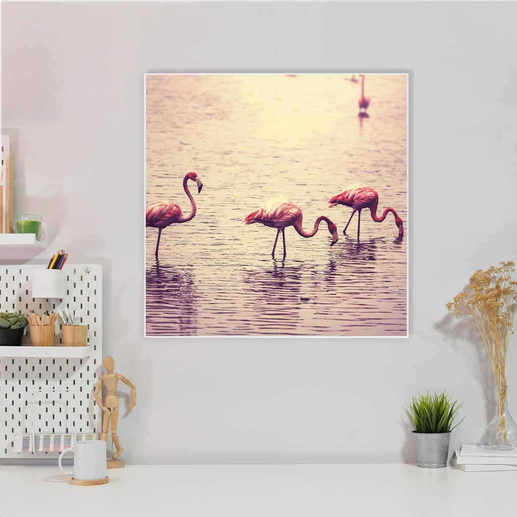 Design Stahlmagnettafel Quadratisch 50x50cm Drei Flamnigos
