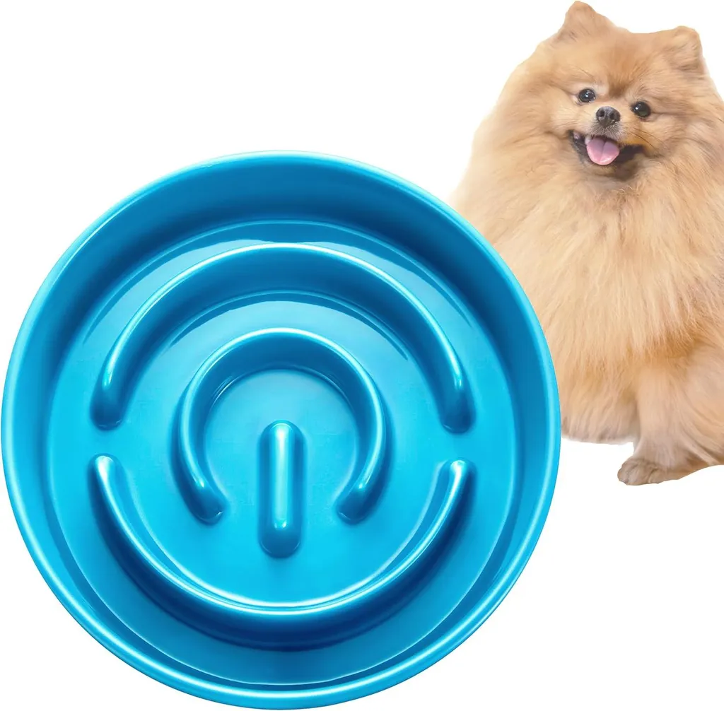 Stopper les vomissements du chat avec cette mangeoire lente 16 cm 400ml