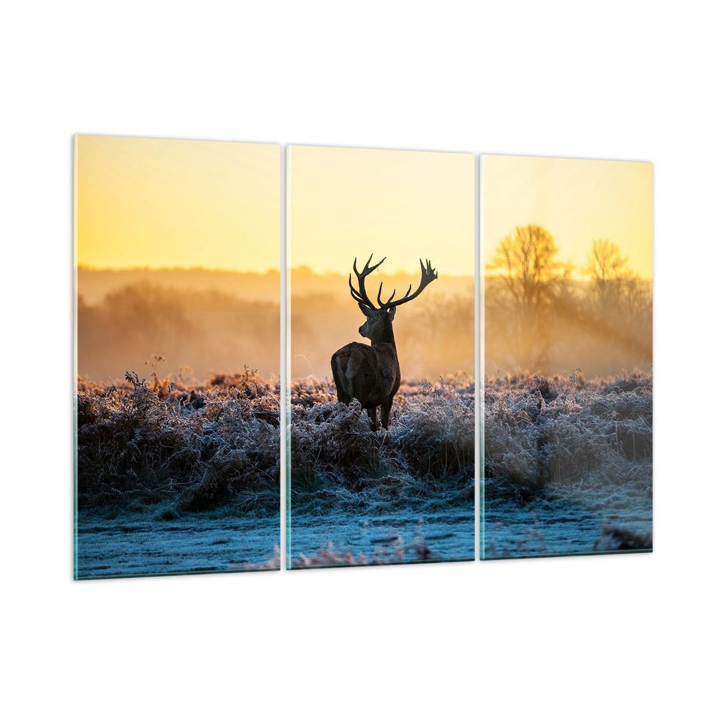 Bilder auf glas - Feld Nebel Natur Baum - 165x110cm - Glasbilder - Wandbilder - Kunstdruck - zum Aufhängen bereit - Wanddekoration aus Glas - Glas...
