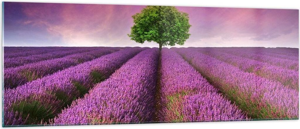 Bilder auf glas - Wiese lavenda Sommer Landschaft - 140x50cm - Glasbilder - Wandbilder - Kunstdruck - zum Aufhängen bereit - Wanddekoration aus Gl...